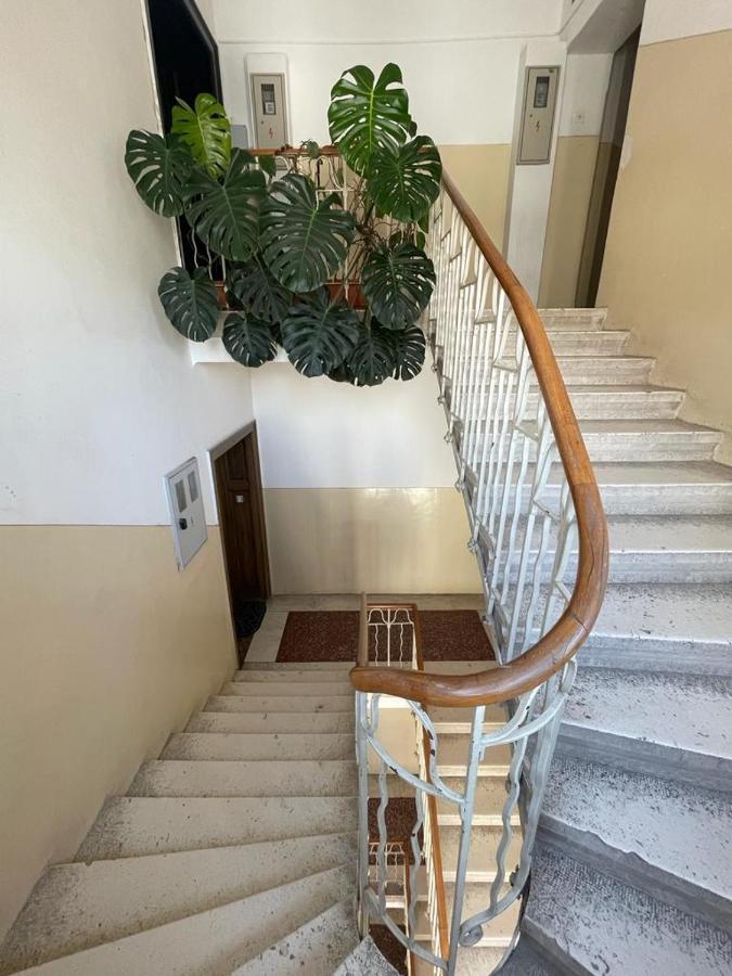 Split Rooftop Loft Экстерьер фото